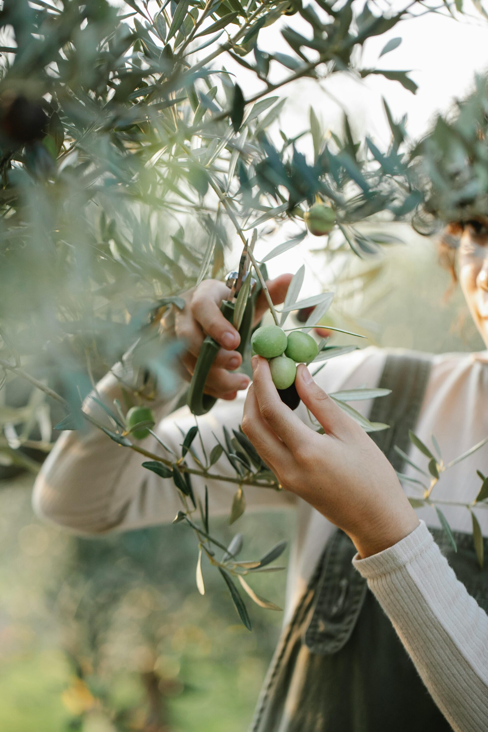 l'huile de jojoba hydrate la peau sans obstruer les pores.