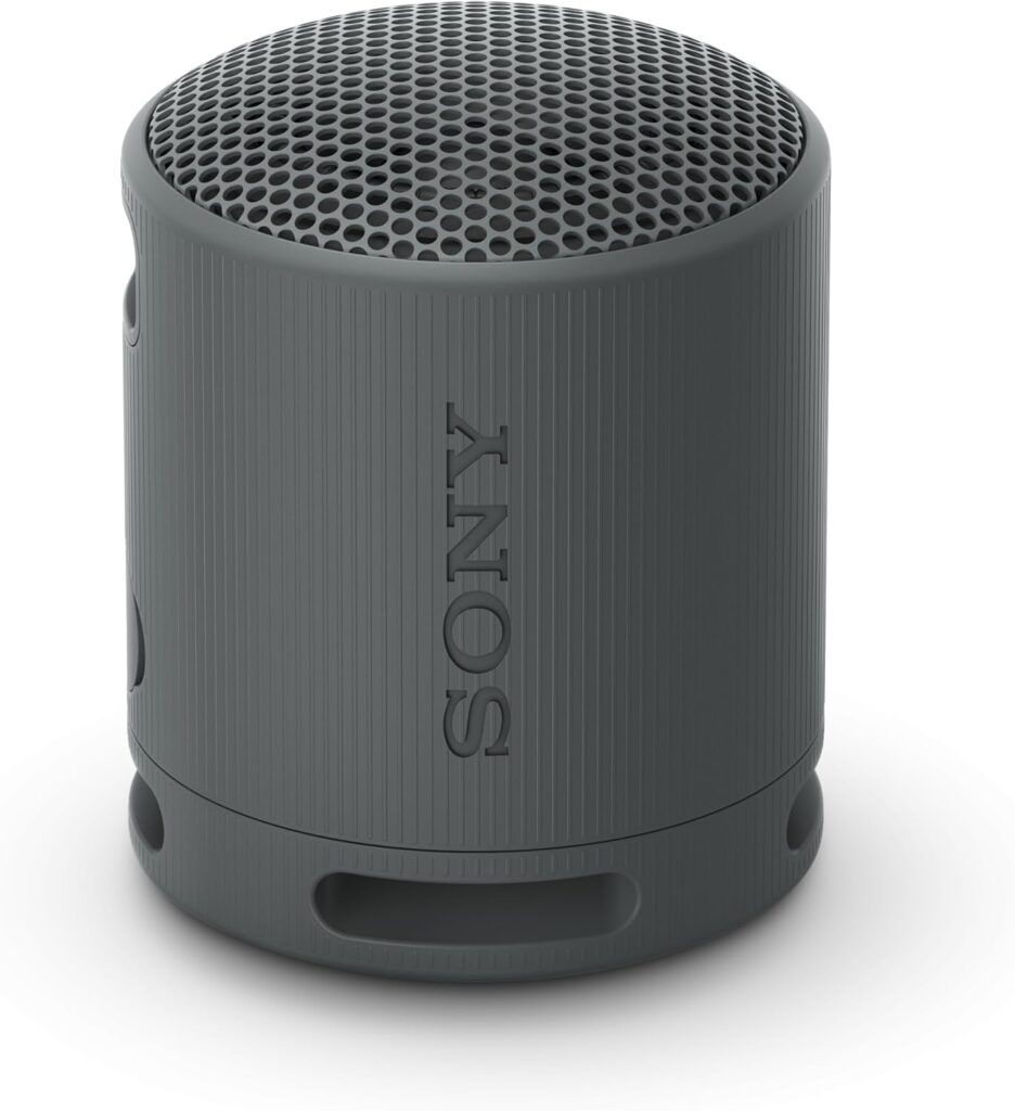 Sony SRS-XB100